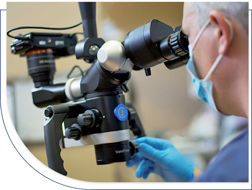 Appointment with a microscope representative rdv microscope representant