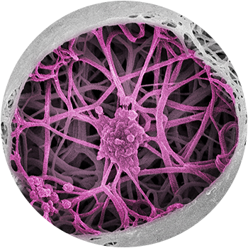 medecine regenerative